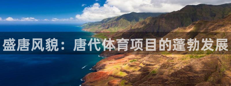 星澳娱乐公司怎么样