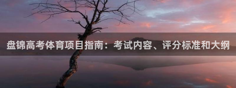 星奥娱乐集团股份有限公司怎么样