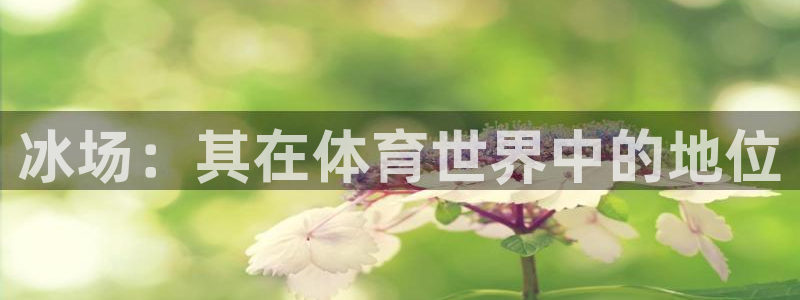 星欧娱乐工711.112怎么没有了