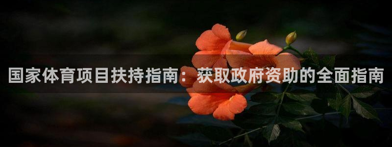 星欧娱乐24小时客服电话