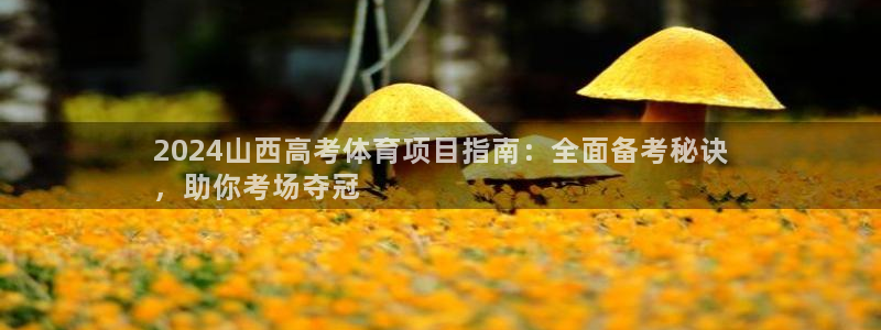 星奥娱乐集团股份有限公司