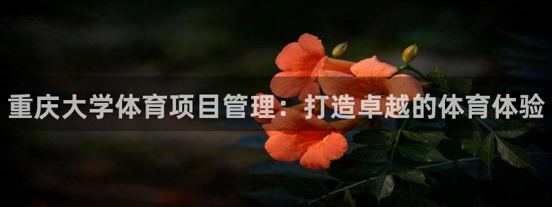 星欧娱乐彩票软件下载安装