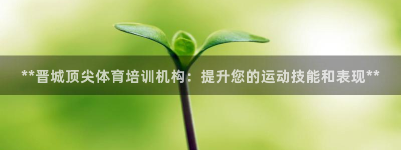 星欧娱乐挂机赚钱软件