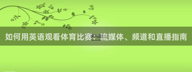 星欧娱乐公司创始人背景故事是什么