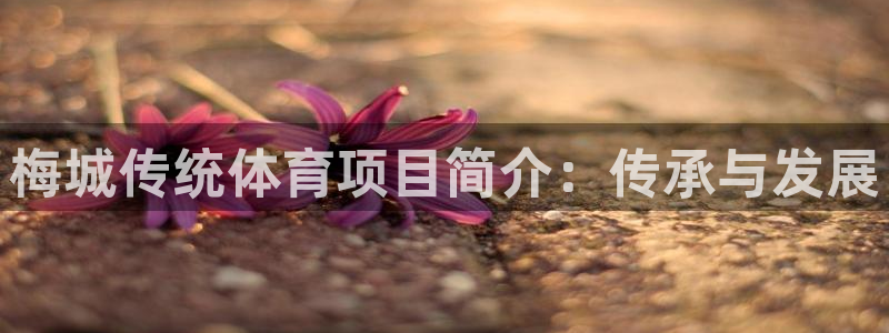 星欧娱乐属于什么档次