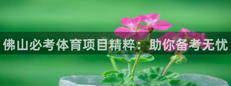 新星娱乐怎么开挂