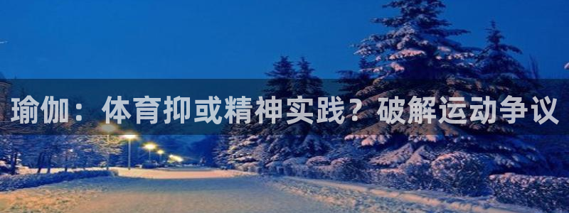 星欧娱乐联游戏评测