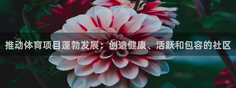 星欧娱乐的官方版本更新内容是什么