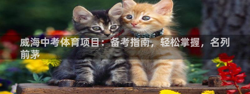 星欧娱乐联售后服务评价