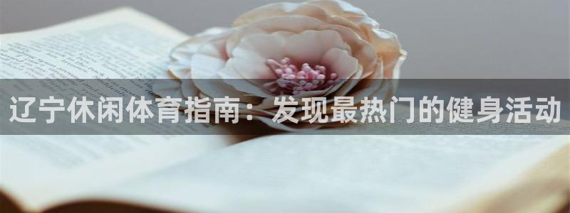 星欧娱乐挂机赚钱软件