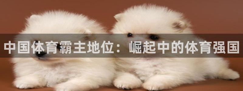 星欧娱乐联最新功能介绍