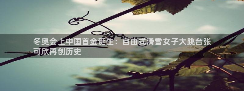 星欧娱乐v8.0.3最新版本更新内容介绍