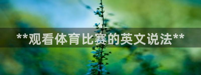 星欧娱乐app最新版本更新内容