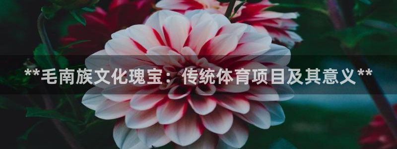 星欧娱乐官网下载