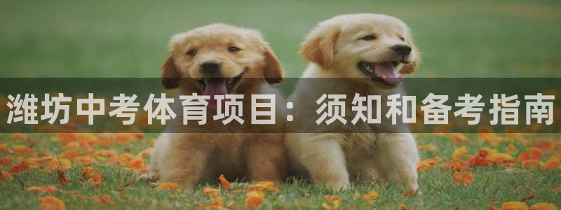 澳星国际娱乐集团