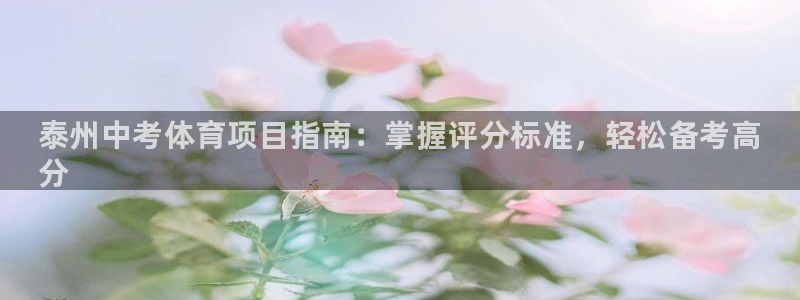 星欧娱乐扣款流程详解视频下载