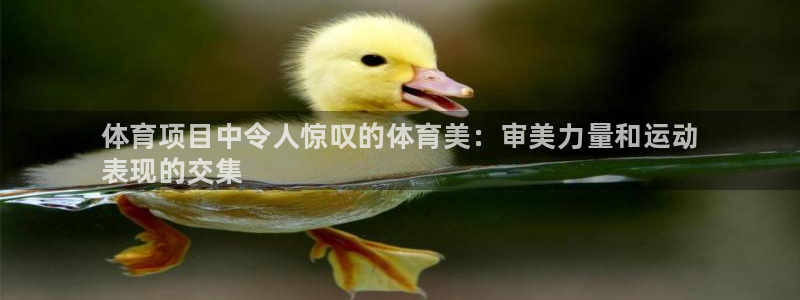 星奥娱乐旗下艺人