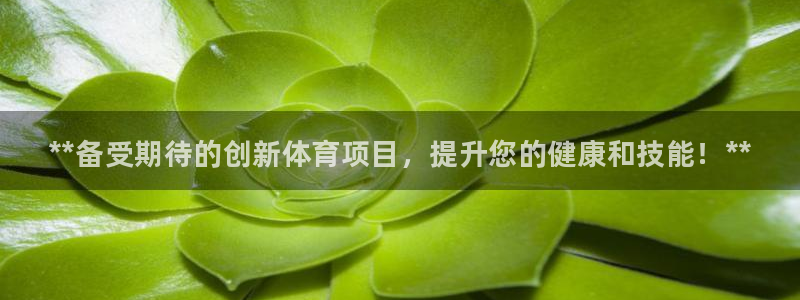 星欧娱乐扣款时间查询方法是什么意思