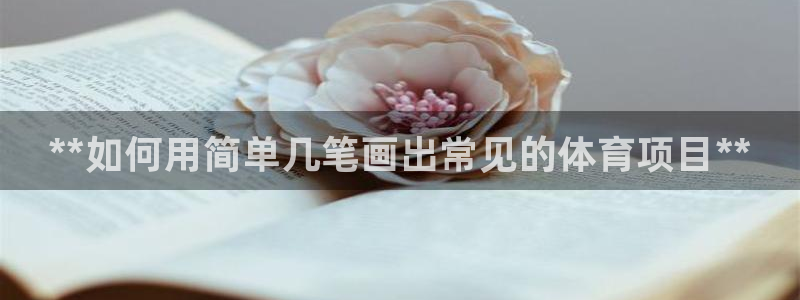 星欧娱乐退款流程详解