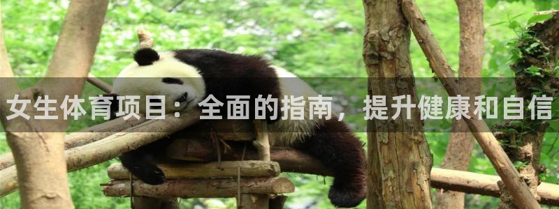 星欧娱乐最建议买的三个产品有哪些内容