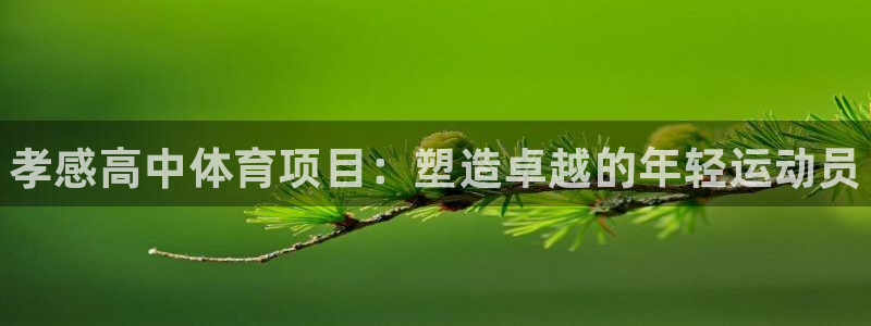 星奥娱乐集团股份有限公司招聘