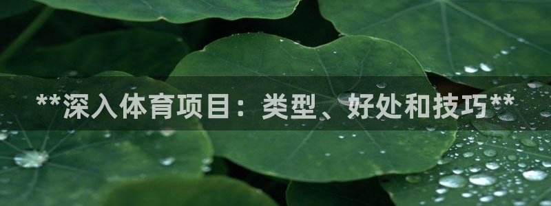 星奥娱乐集团股份有限公司官网