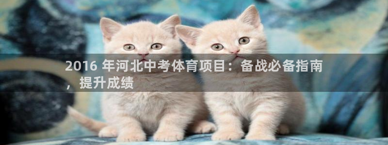 星欧娱乐彩票软件下载官网