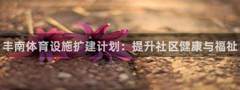 星欧娱乐游戏中心官网登录