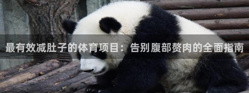 星欧娱乐的创始人背景故事简介