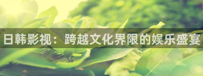 我不卡电影高清完整在线观看
