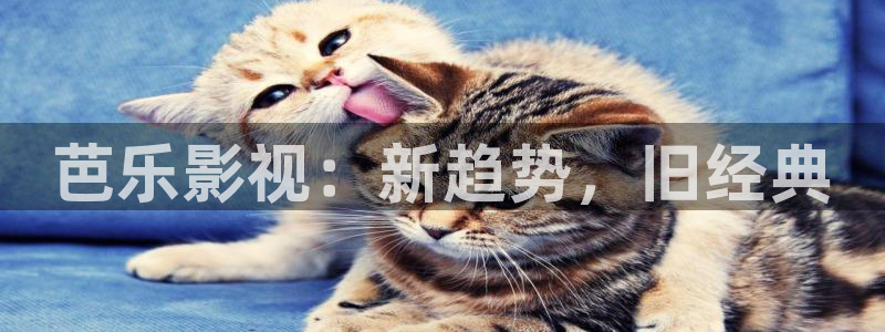 我不卡电影院