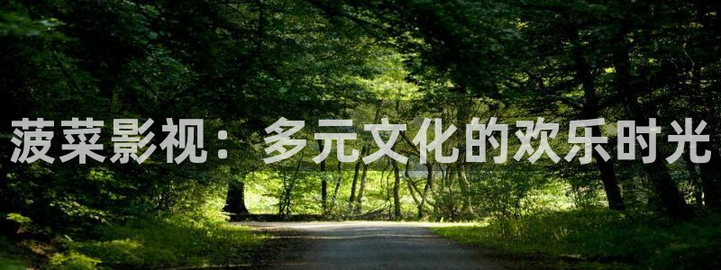 神马午夜我不卡电影
