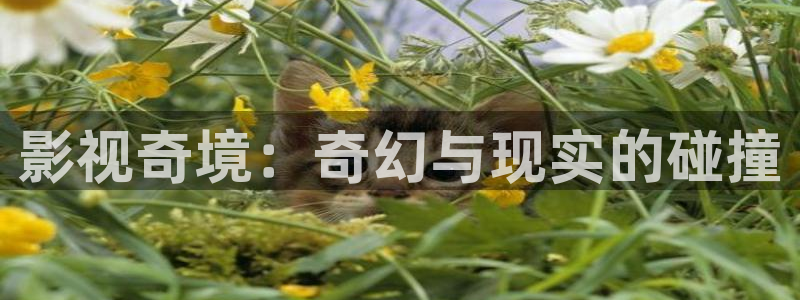 日本午夜一级我不卡电影