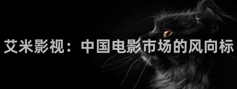 我不卡电影免费