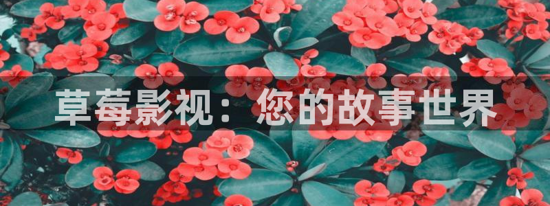 神马影院我不卡电影在线观看：草莓影视：您的故事世界