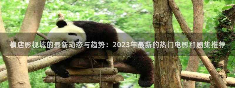 我不卡电影手机在线观看：横店影视城的最新动态与趋势：2023年最新的热门电影和剧集推荐