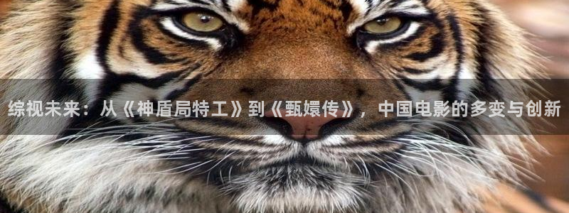 我不卡神马我不卡电影