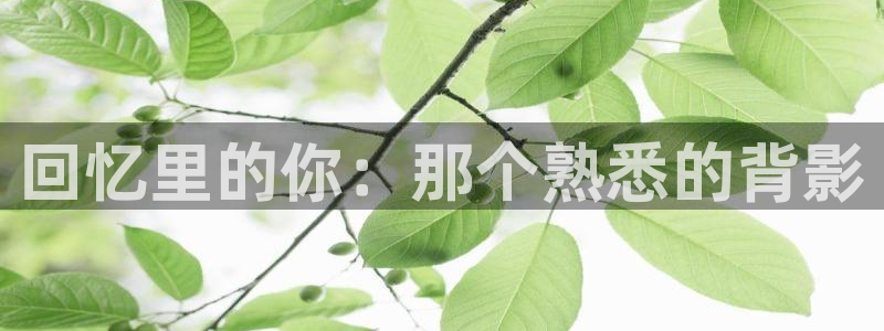 我不卡电影动漫