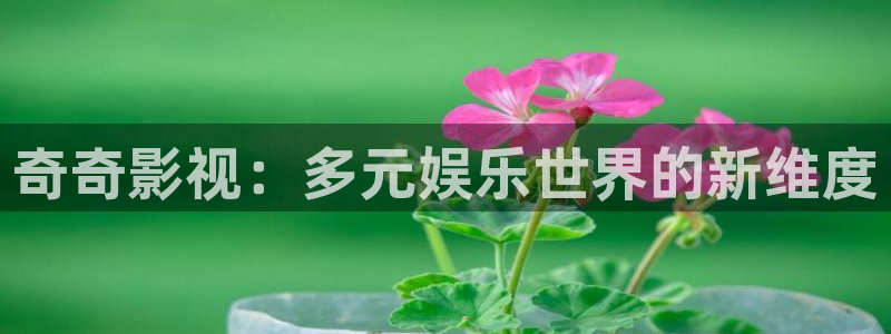 神马电影我不卡电影院：奇奇影视：多元娱乐世界的新维度