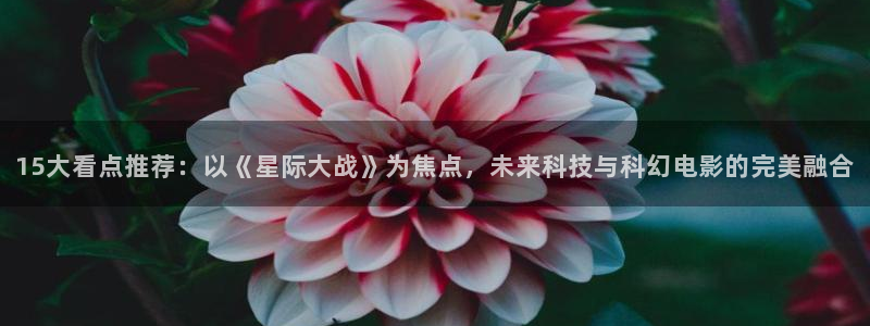 我不卡电影高清完整在线观看