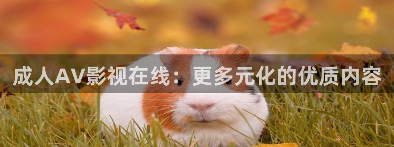 神马我不卡电影院手机在线观看